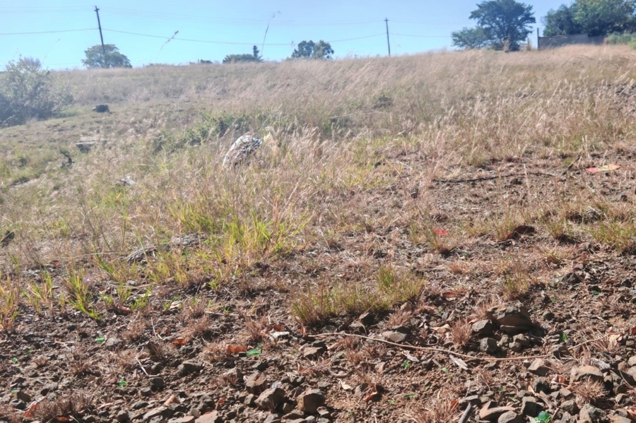 0 Bedroom Property for Sale in Oranjeville Free State